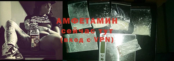 мет Алексин