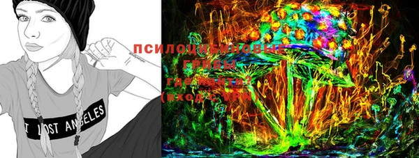 PSILOCYBIN Коряжма