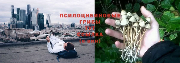первитин Костерёво