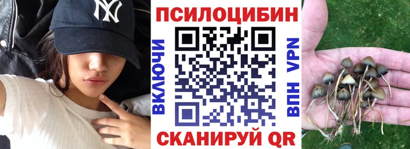 Галлюциногенные грибы Psilocybe  mega ТОР  Серпухов  площадка официальный сайт  где можно купить  